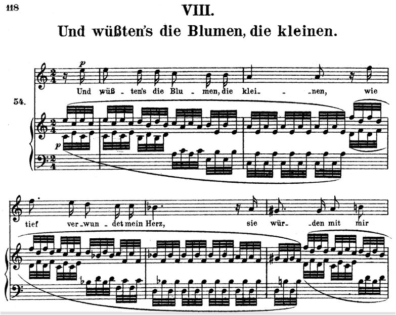 Und wüssten's die Blumen Op.48 No.8, a-moll, R. Sc...