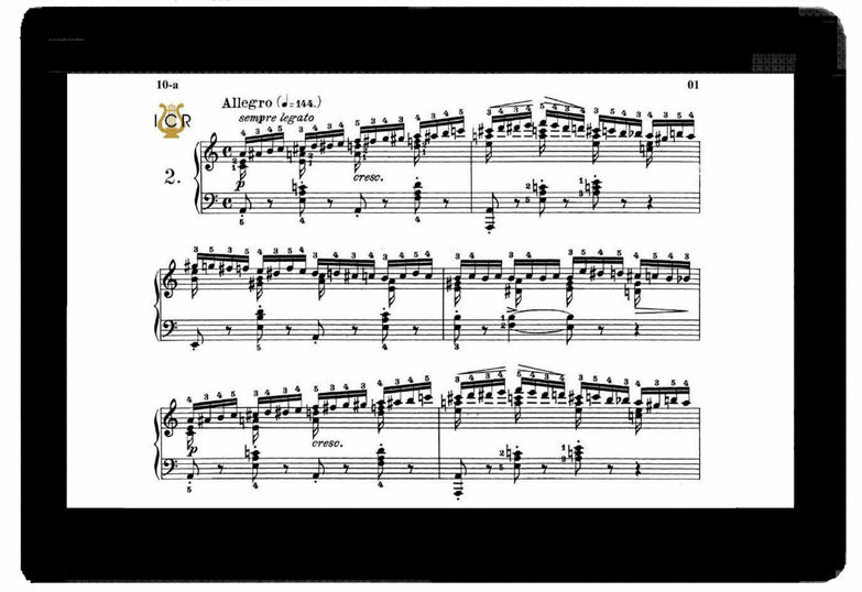 F. Chopin. Etude Op. 10 No. 2 Sample, Peters Ed. (...