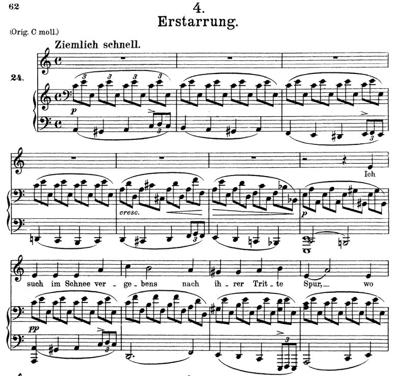 Erstarrung D.911-4 in A Minor. F. Schubert (Winter...