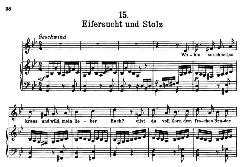 Eifersucht und Stolz D.795-15 G Moll, F. Schubert ...