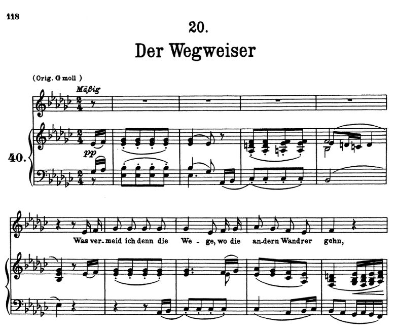 Der Wegweiser, D.911-20. es-moll. F. Schubert. Pet...