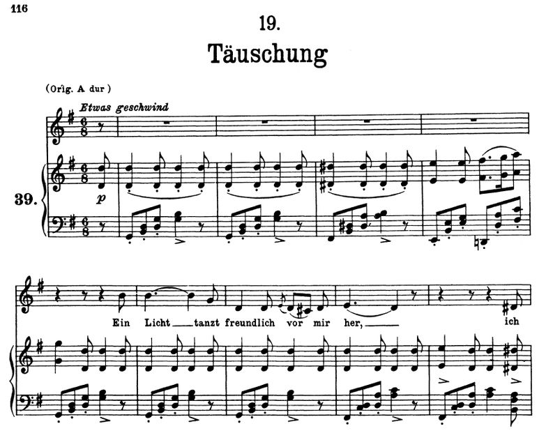 Täuschung D.911-19, G-Dur. F. Schubert (Winterreis...