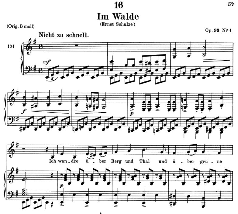 Im Walde, D.708, Tiefe Stimme e-moll, F. Schubert....