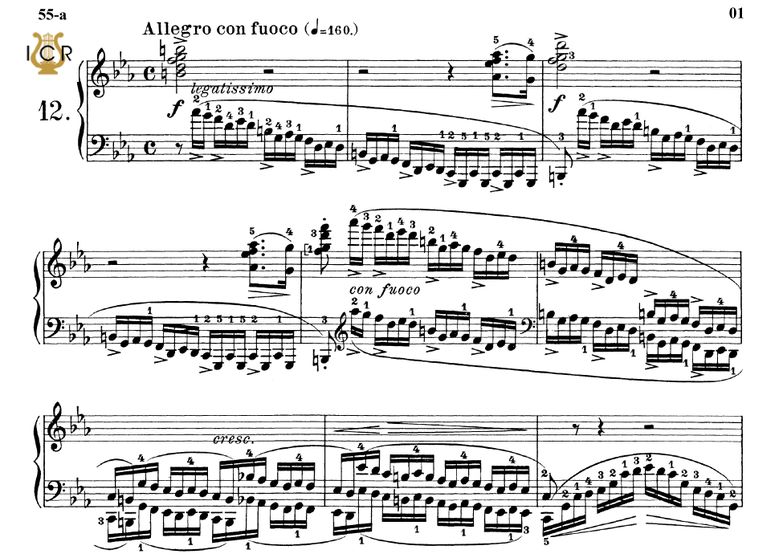 Etude Op.10 No.12 in E-Flat Major, F. Chopin, "Rev...