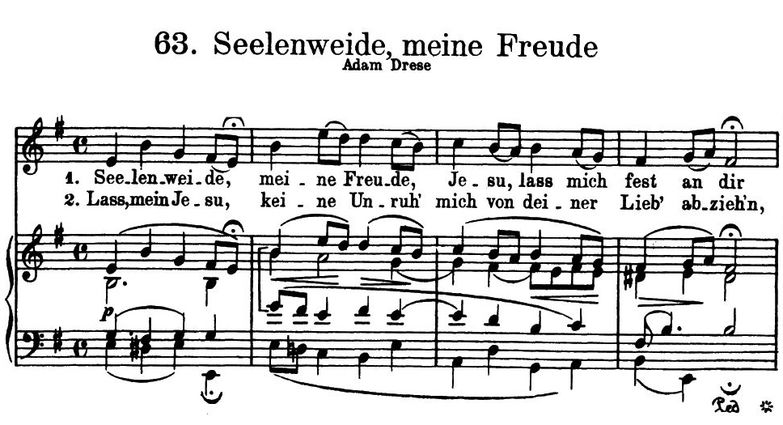 Seelenweide, meine Freude BWV 497, High Voice in e...