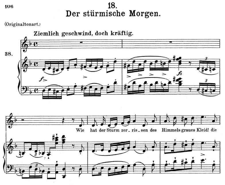 Der stürmische Morgen D.911-18 in D Minor. F. Schu...