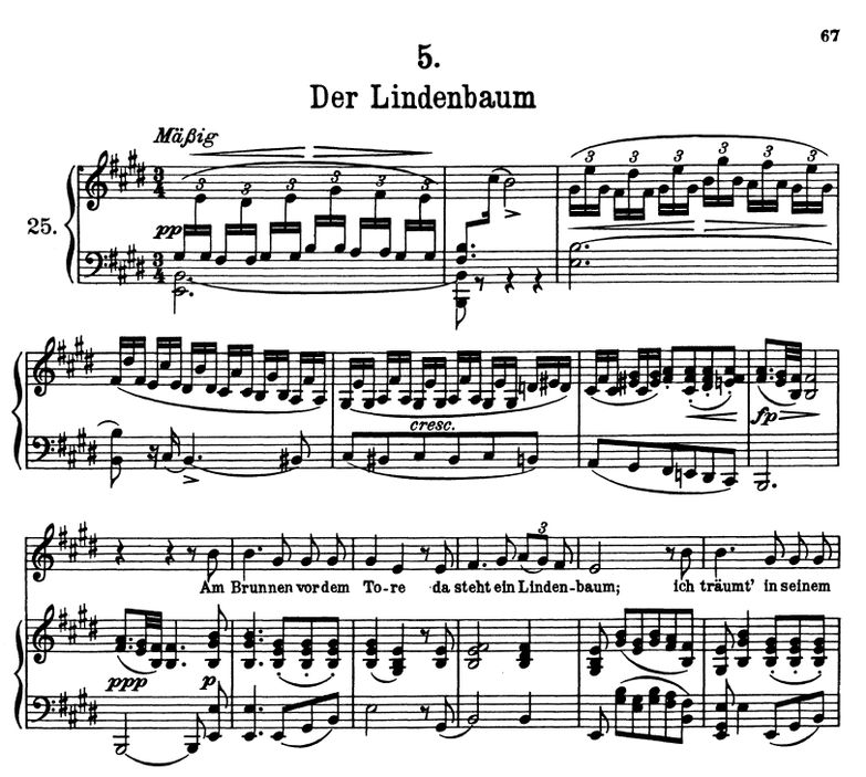 Der Lindenbaum D.911-5 E Dur. F. Schubert (Winterr...