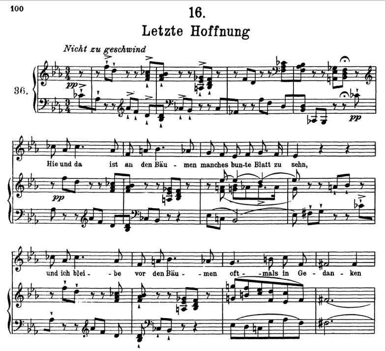 Letzte Hoffnung D.911-16 Es-Dur, F. Schubert (Wint...