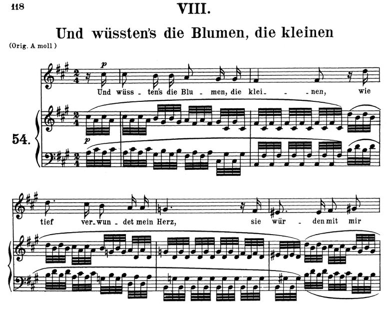 Und wüssten's die Blumen Op.48 No.8, fis-moll. R. ...