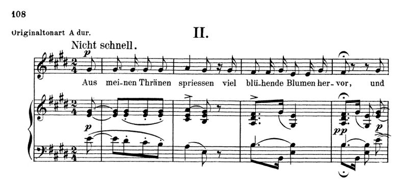 Aus meinen Tränen spriessen Op.48 No.2, E-Dur, R.S...