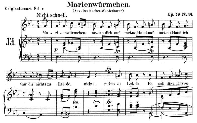 Marienwürmchen Op. 79 No. 14, Es-Dur,  R.Schumann....