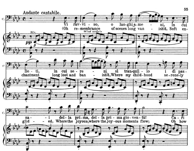 Vi ravviso, o luoghi ameni. V. Bellini: La Sonnamb...
